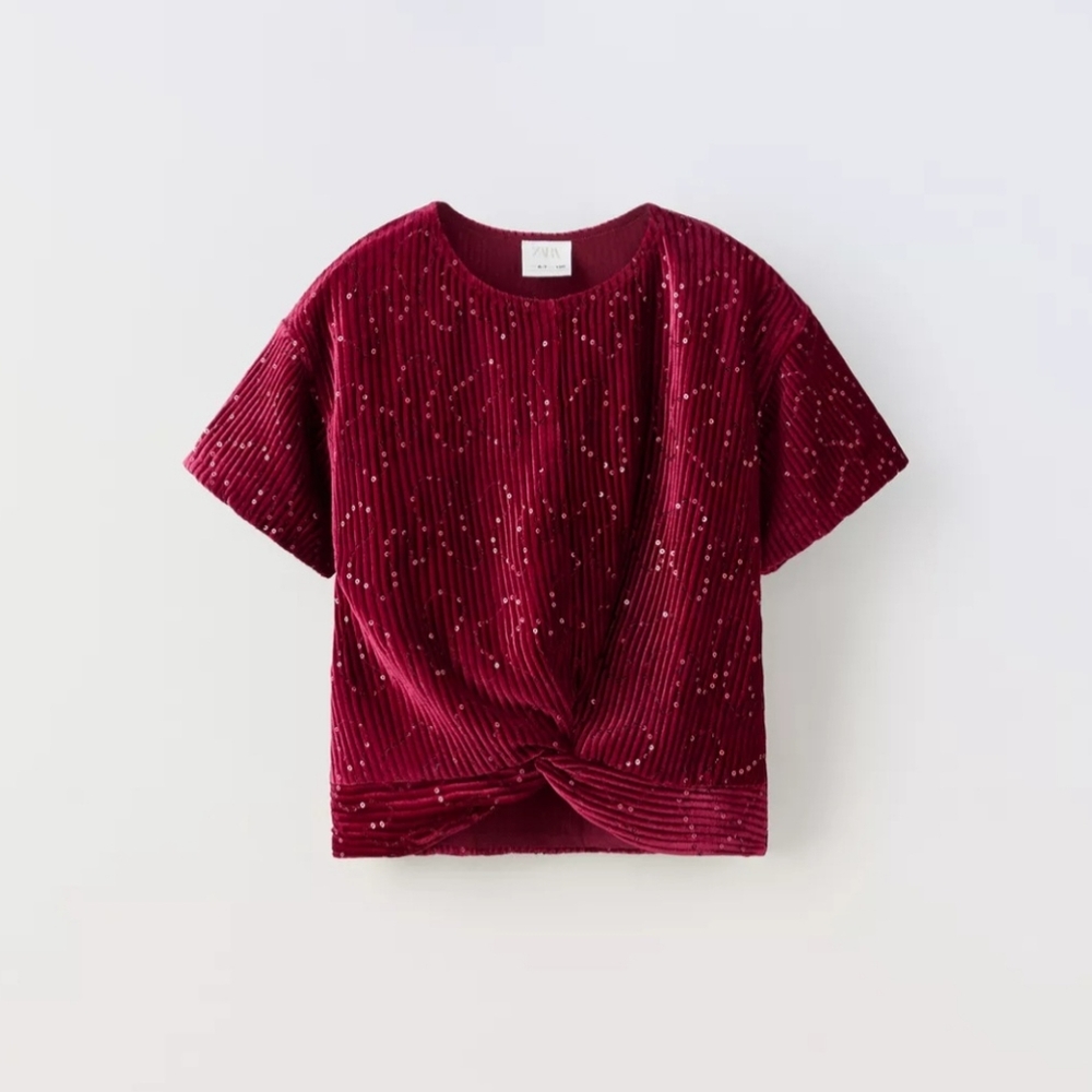Zara Red Velvet Two-Piece Set